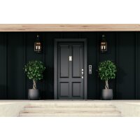 DoorBird D1102FV Fingerprint 50 Unterputz IP Video Türstation