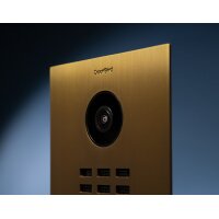 DoorBIrd D2201V IP Video Türsprechanlage, 1 Einheit, 1 Ruftaste, Echtes Messing brüniert